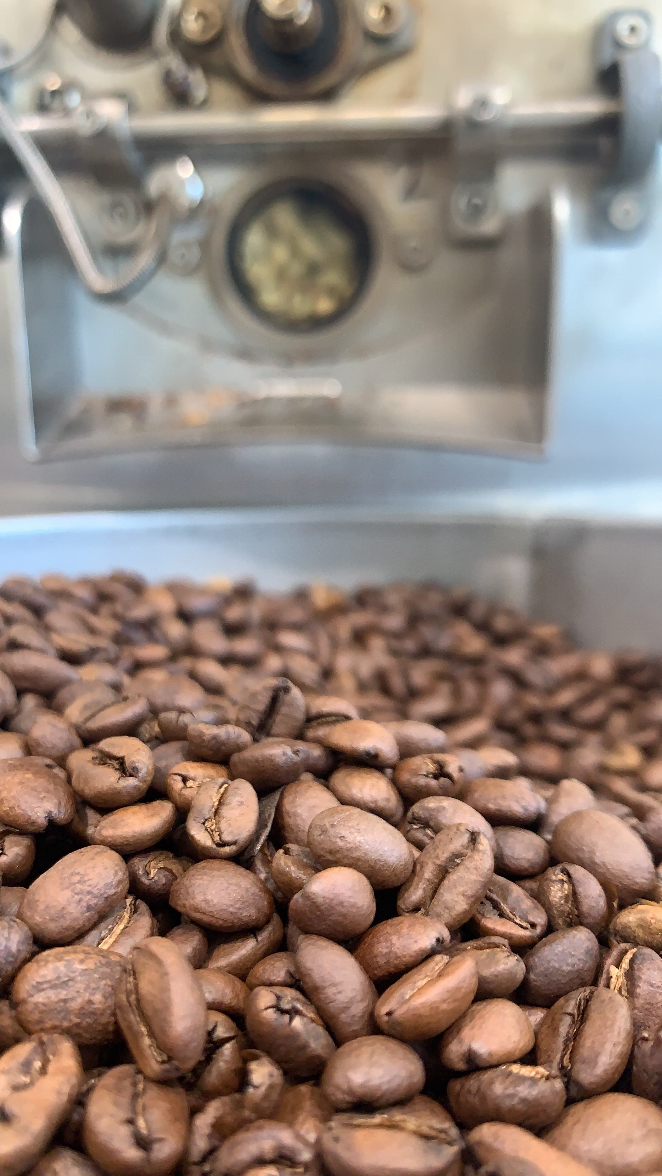 SCA ROASTING FOUNDATION – Coffee Flock