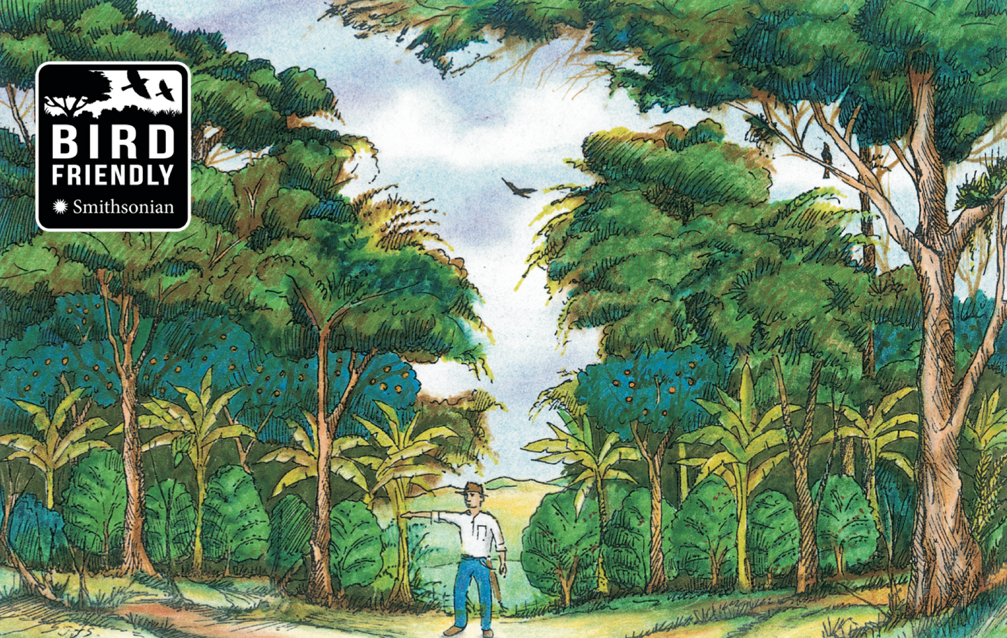 Why We’re a Bird Friendly® Certified Roastery