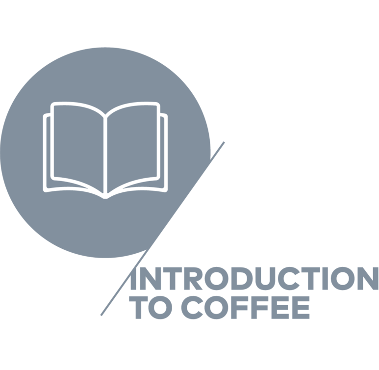 Association Coffee Course SCA INTRODUCTION TO COFFEE – Coffee Flock